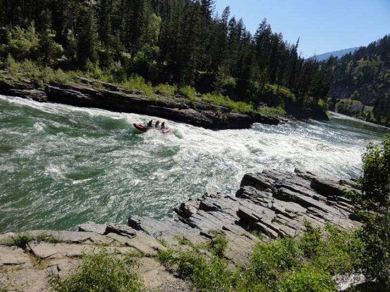 Whitewater on a forested canyon river